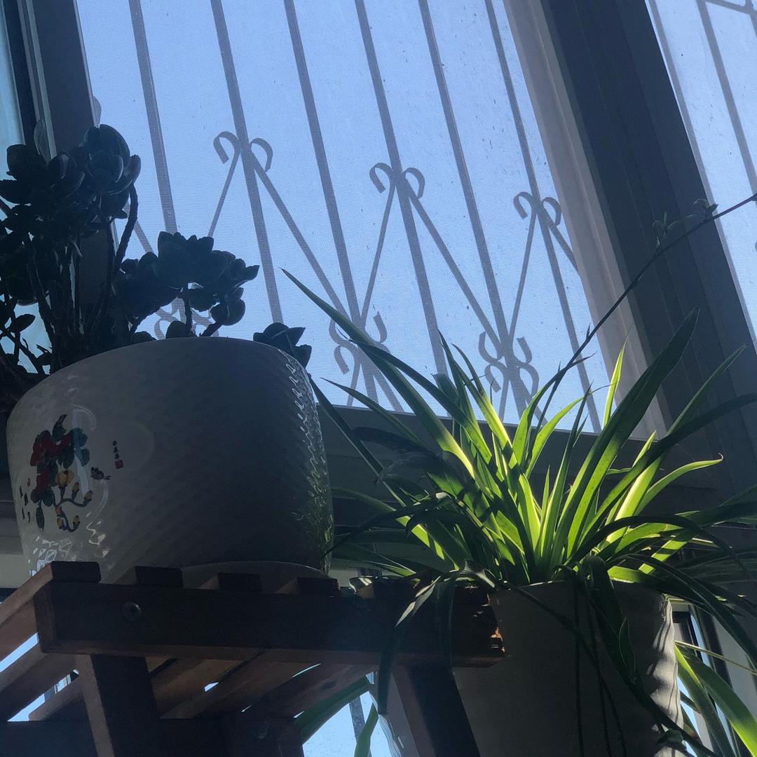 云开