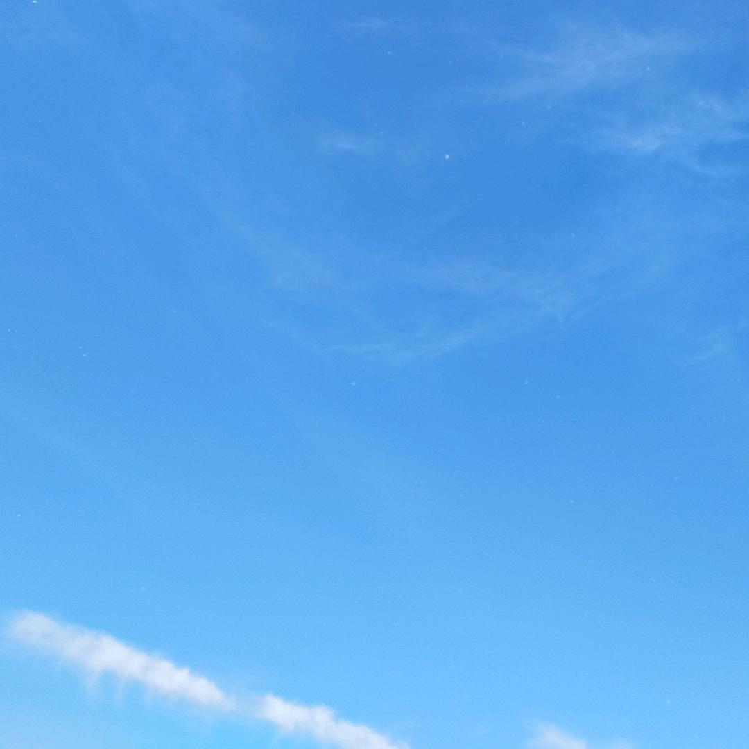 嘉荷呦
