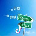 黑夜的网络