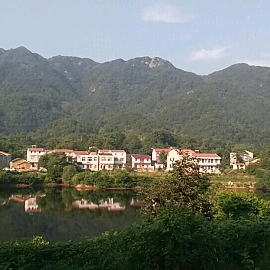认识你真高兴