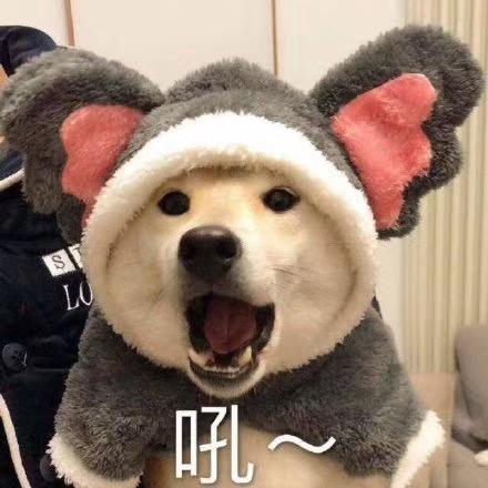 昕禾