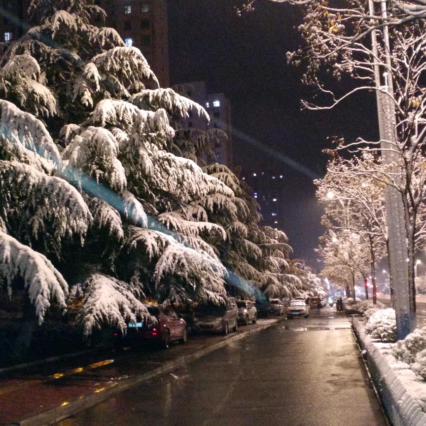 ღ᭄刘🦋꧔ꦿ᭄你💞