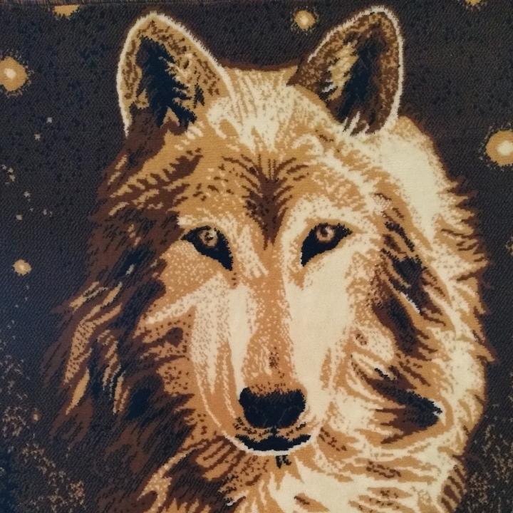 战狼🐺
