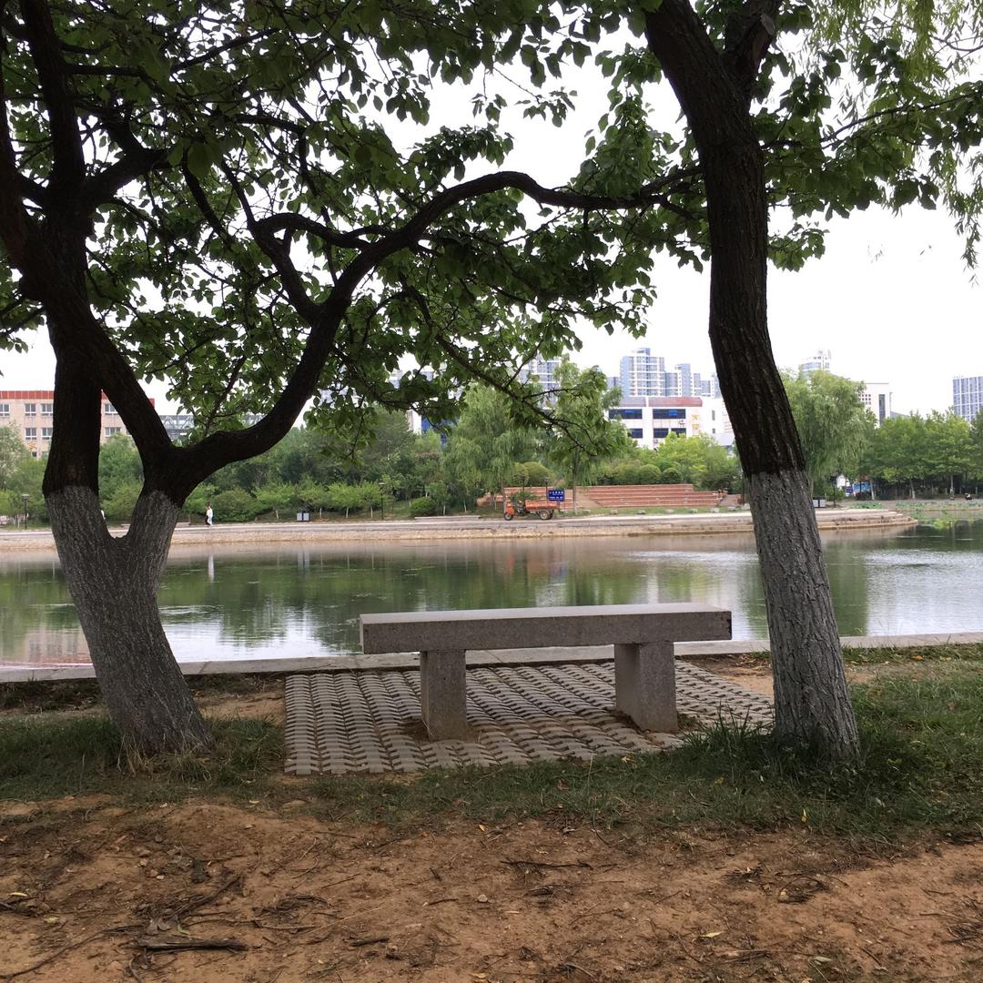 牛氏木业牌匾专业定做