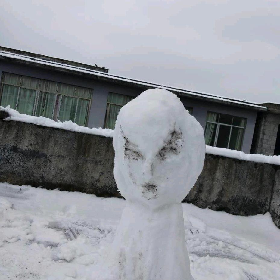 雪飘