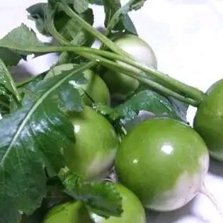 颍州区欢乐家庭农场