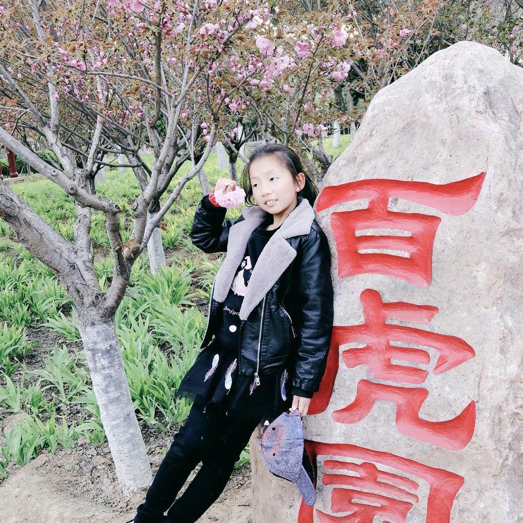 一帆风顺