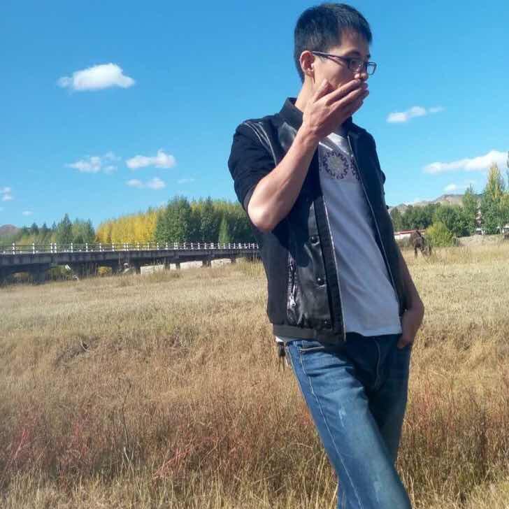 平凡小李子
