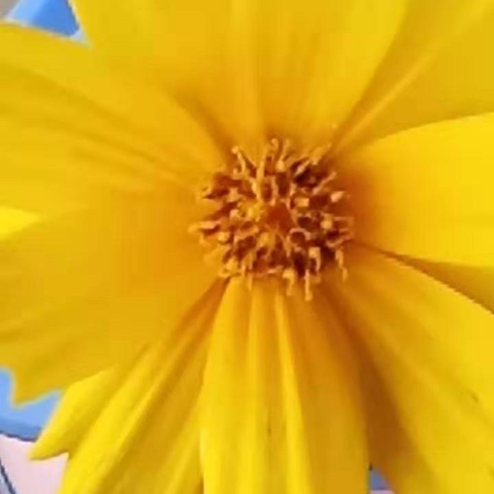 我就是我