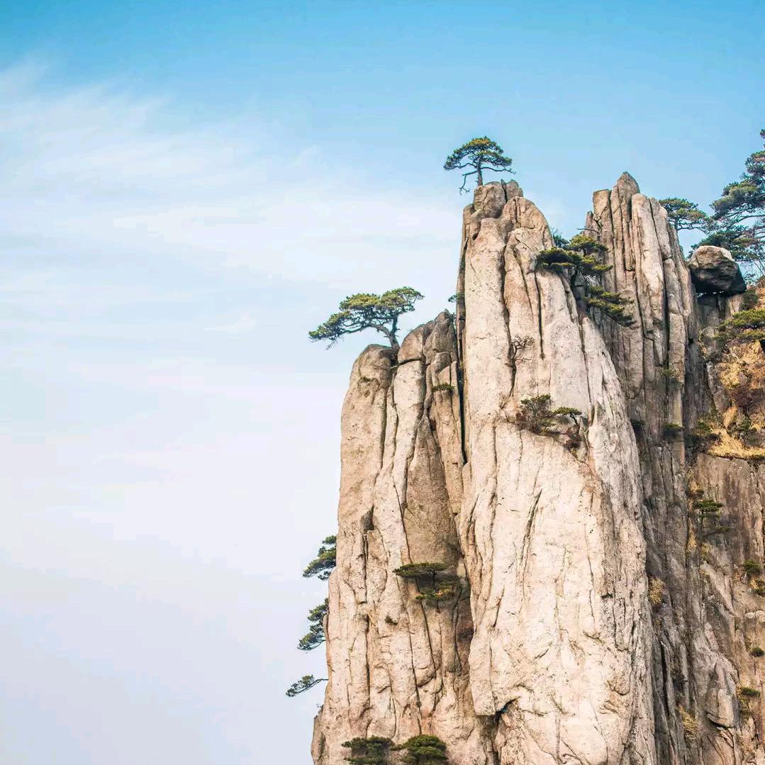 泰山
