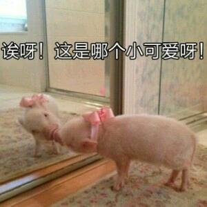 ☞坏坏小姐