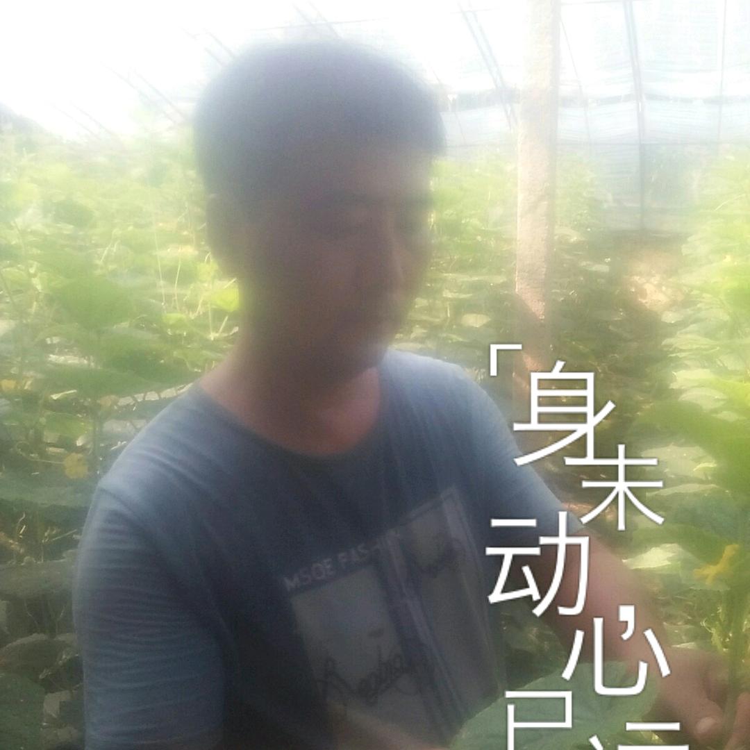 龙飘飘