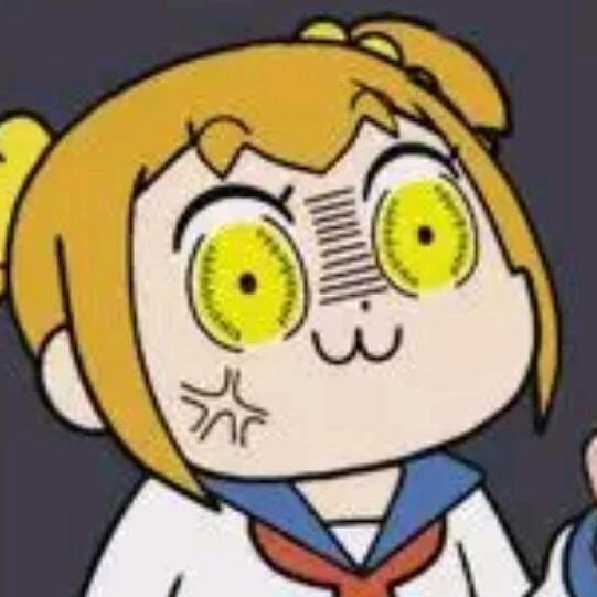 白鸽子