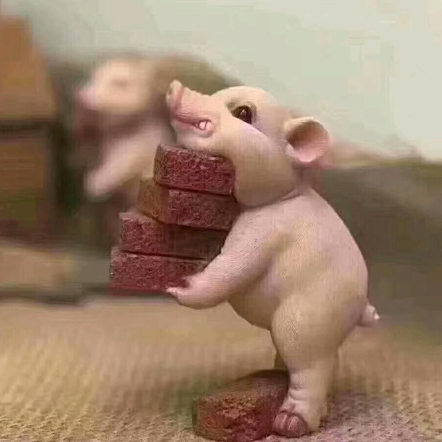 🐷可乐🐷