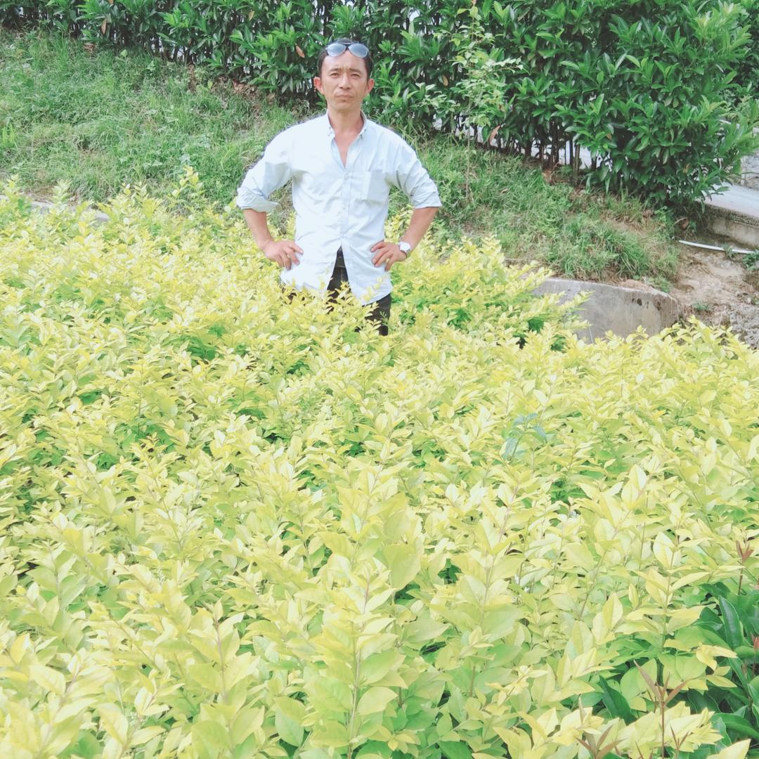 爱你一生