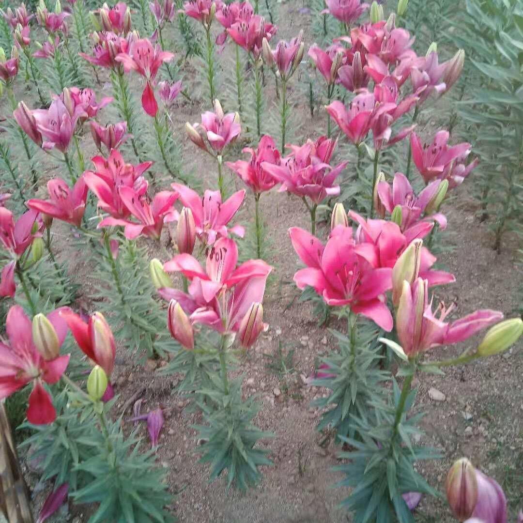 荣姐