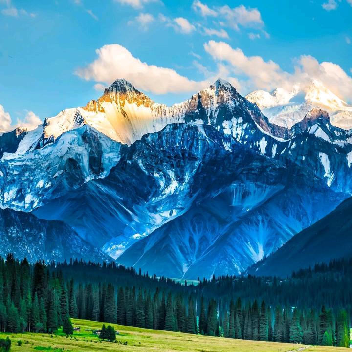 新沂市琼恩雪百货经营部（个体工商户）