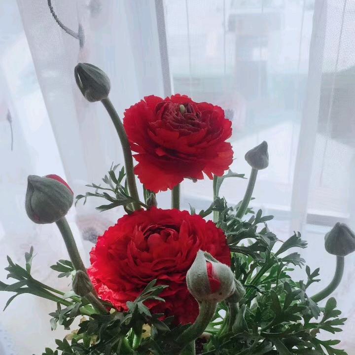 雨中漫步者