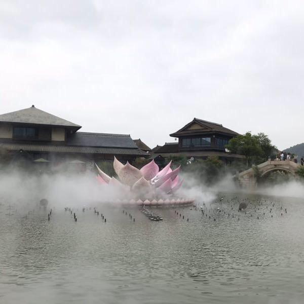 用户260879784596雪莲花