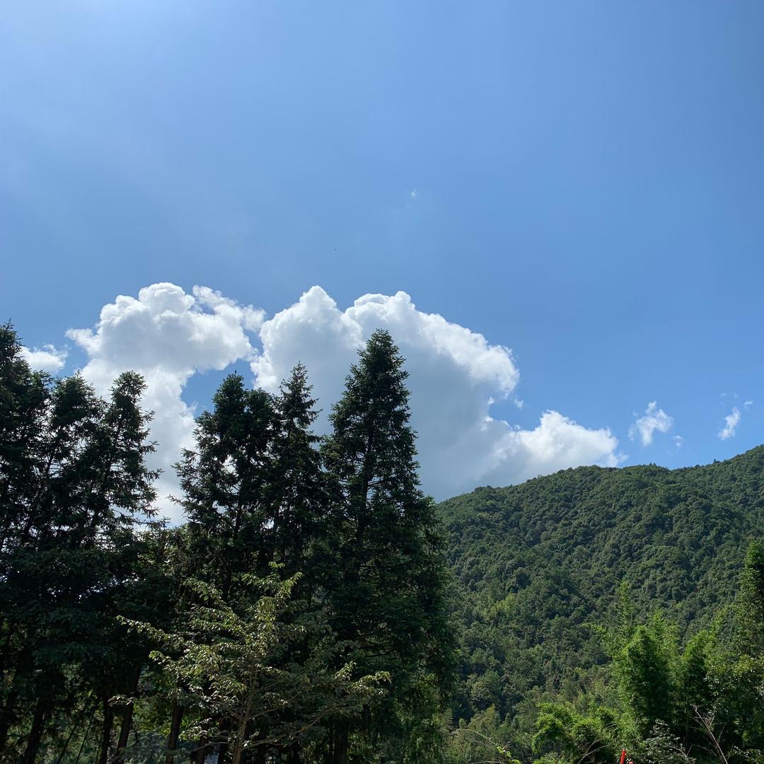 春华农场