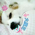 A000潘小潘🌸 