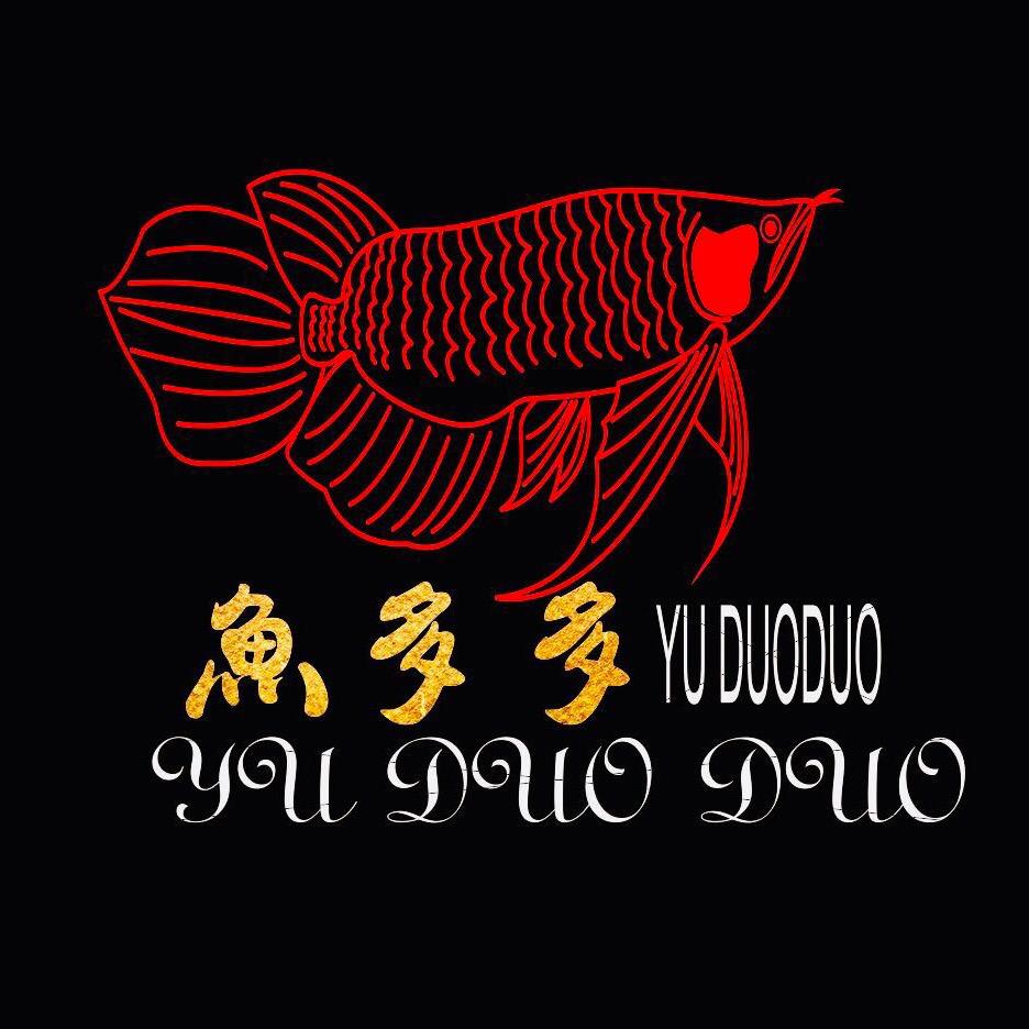 漳州鱼多多水族