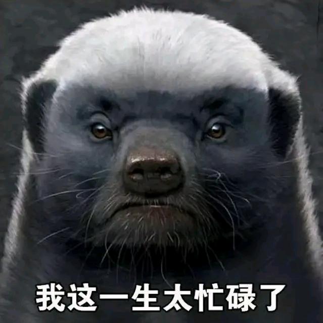 平头哥