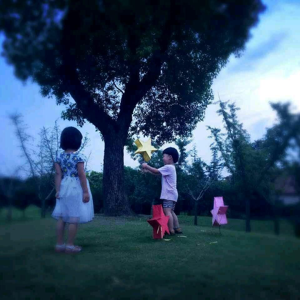 那片花那片海