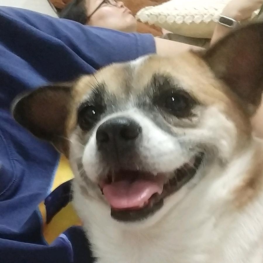 爱烤火的螃蟹