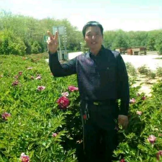 @心若向阳