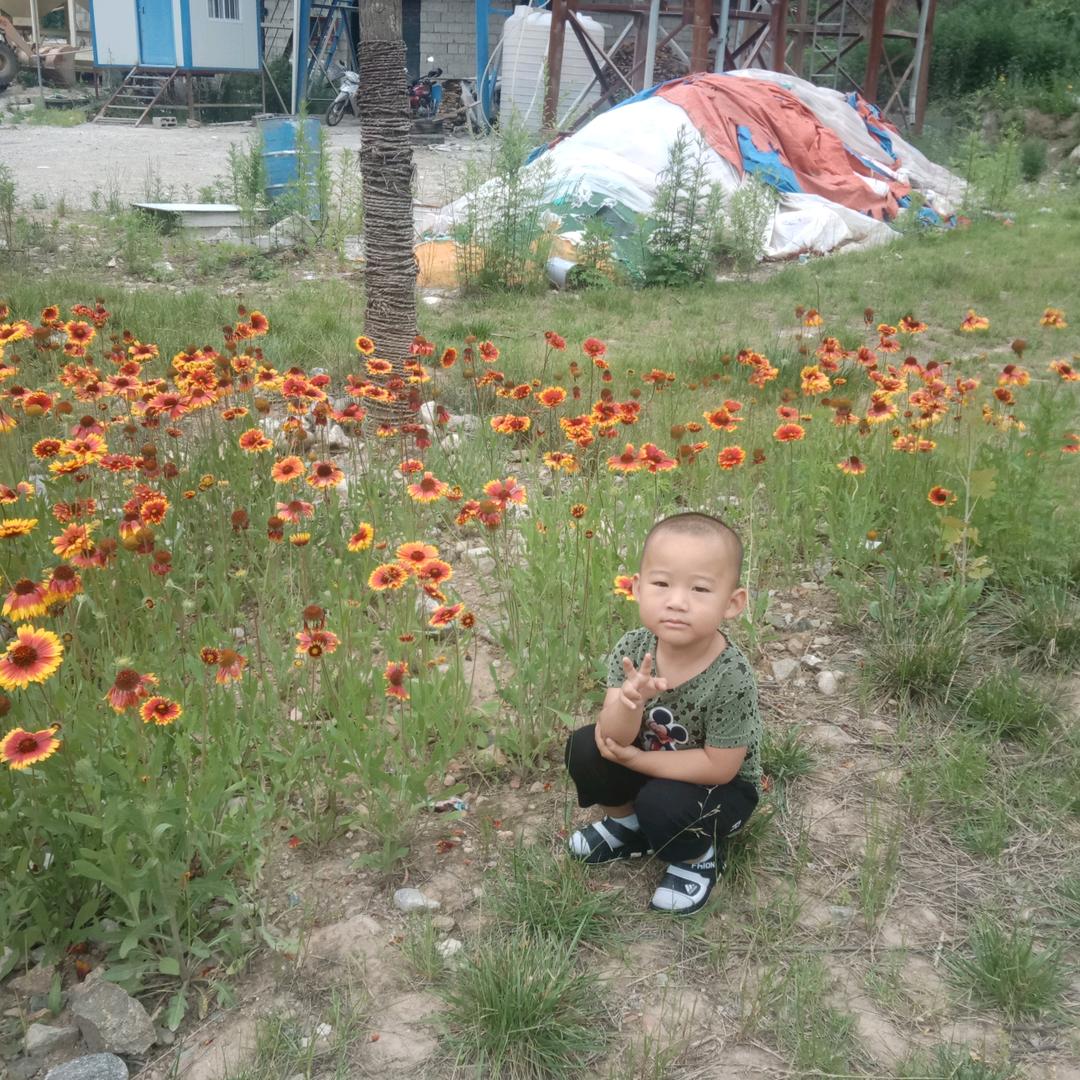 阿春