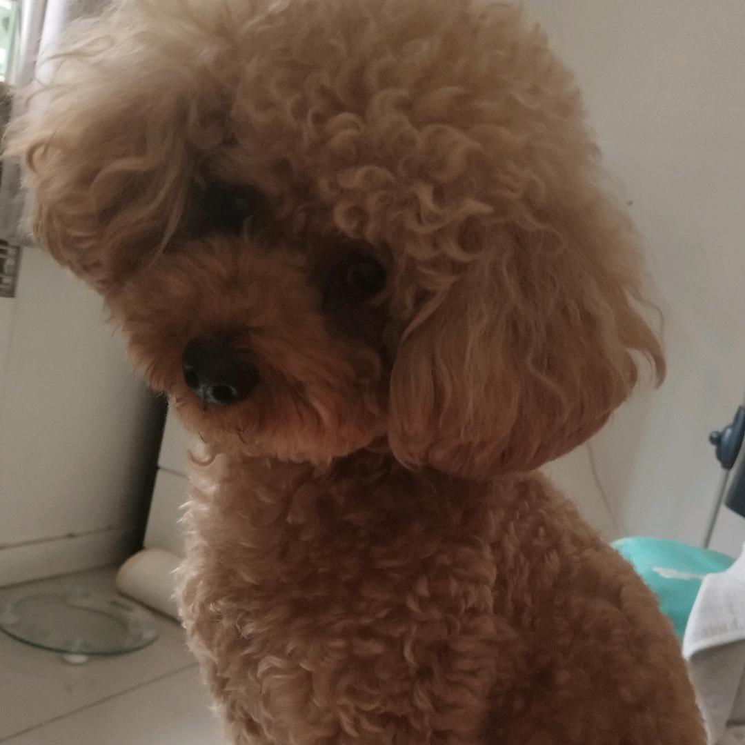 街角的风铃