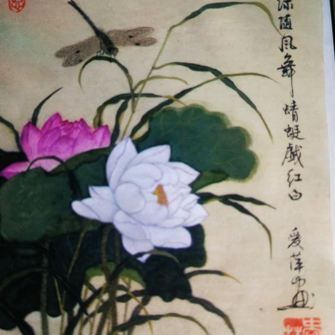 欧阳雨汐