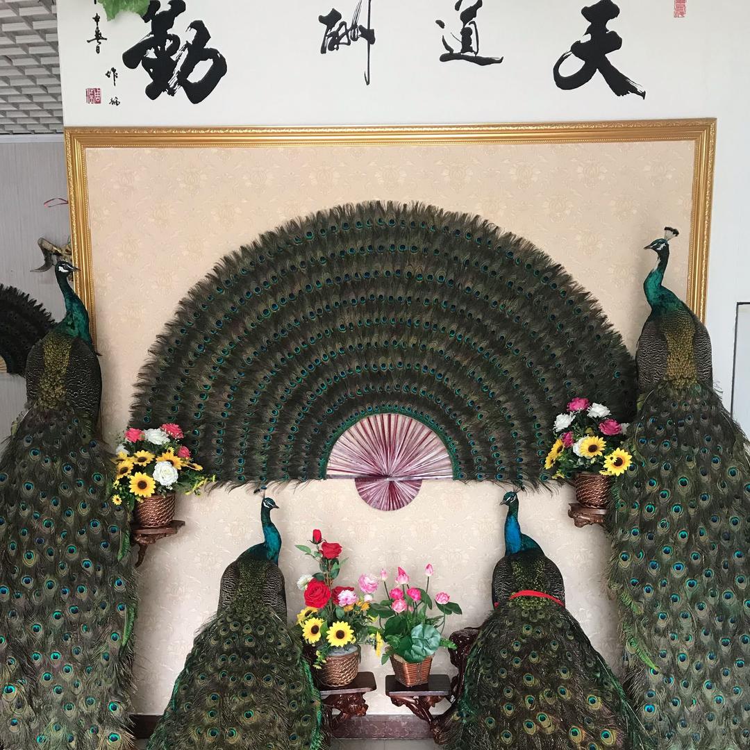 山水生态养殖场