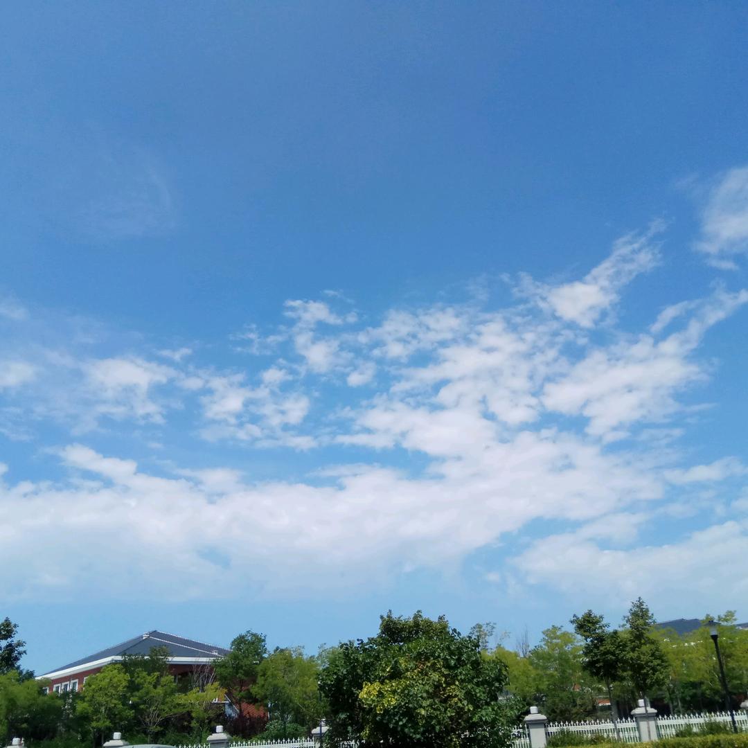 木子