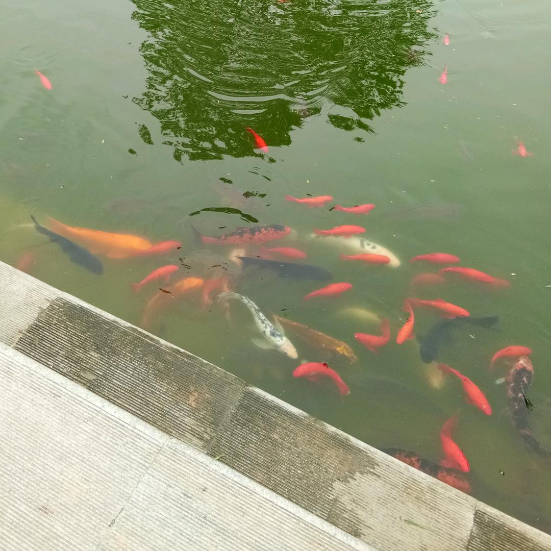 心态第一