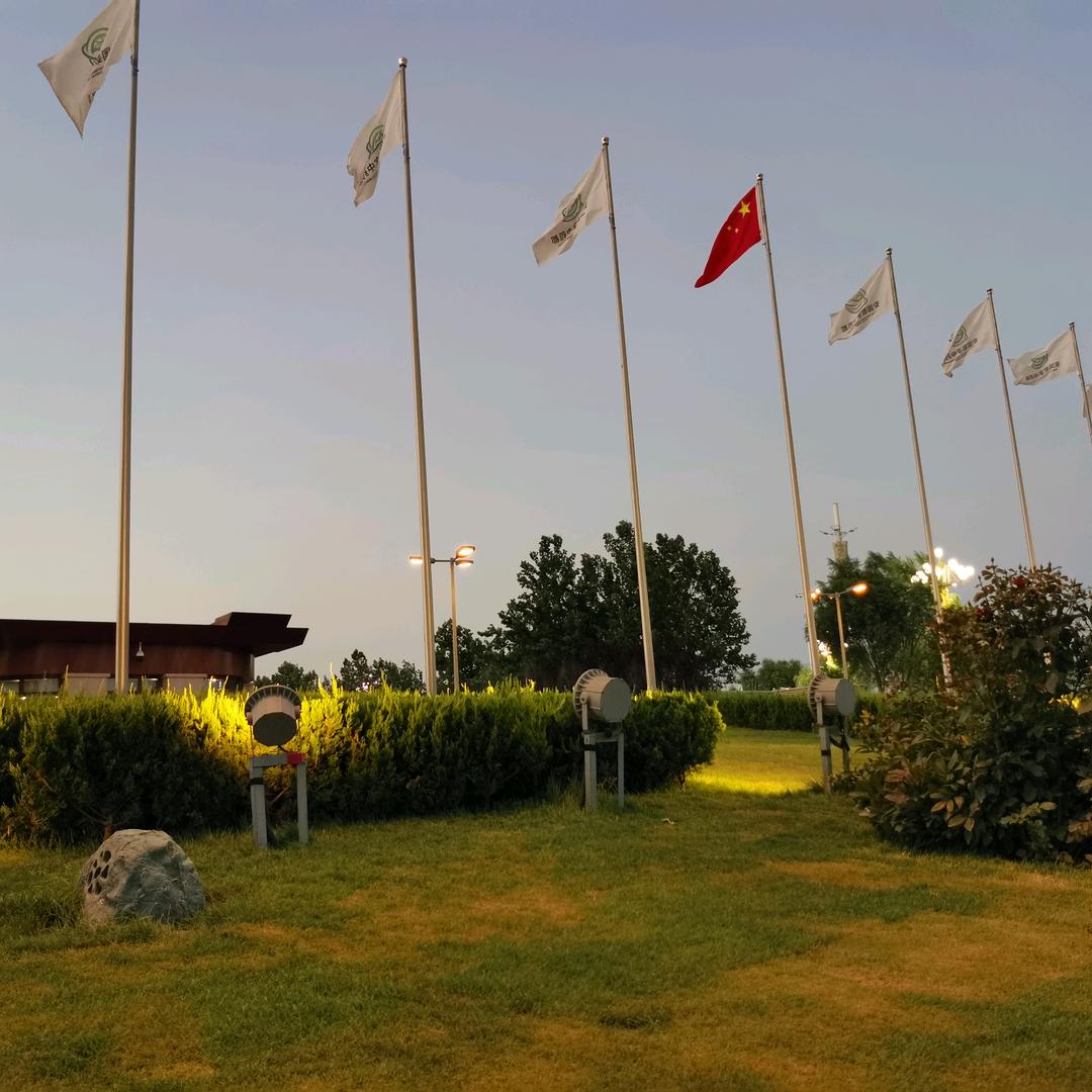 不再依恋那残缺的美