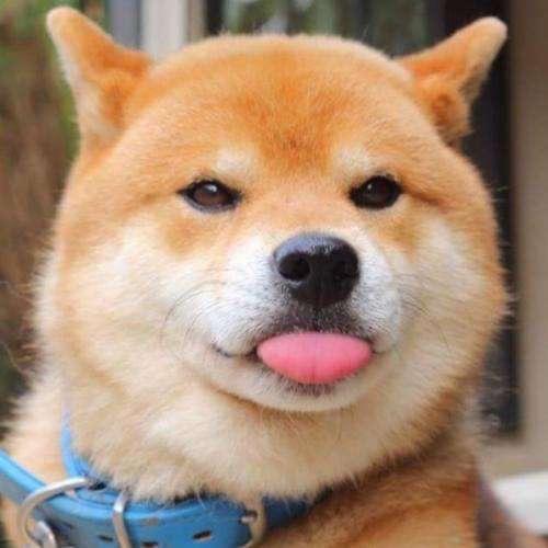 朽才