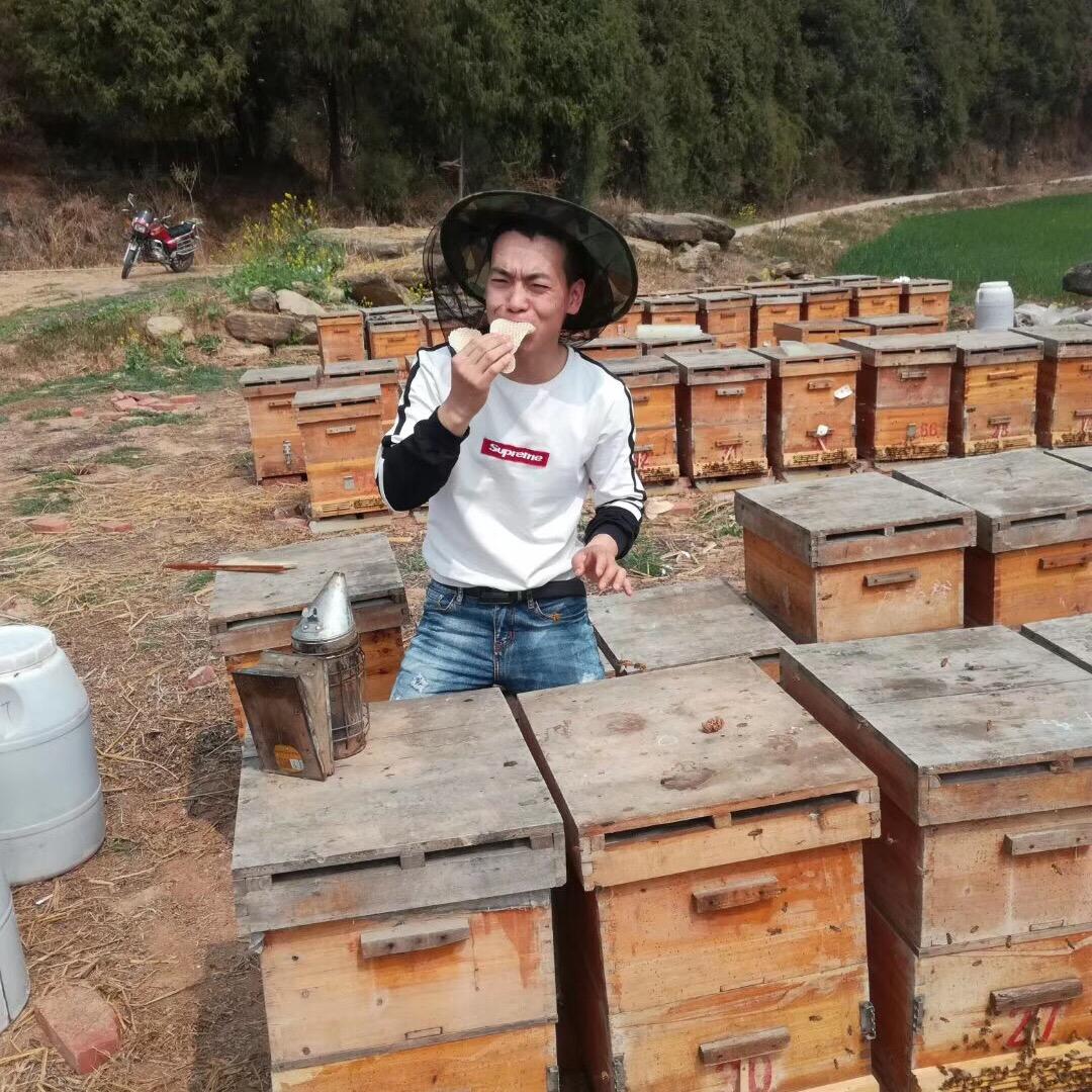 四川蜜蜂🐝️哥