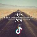 清qing杨