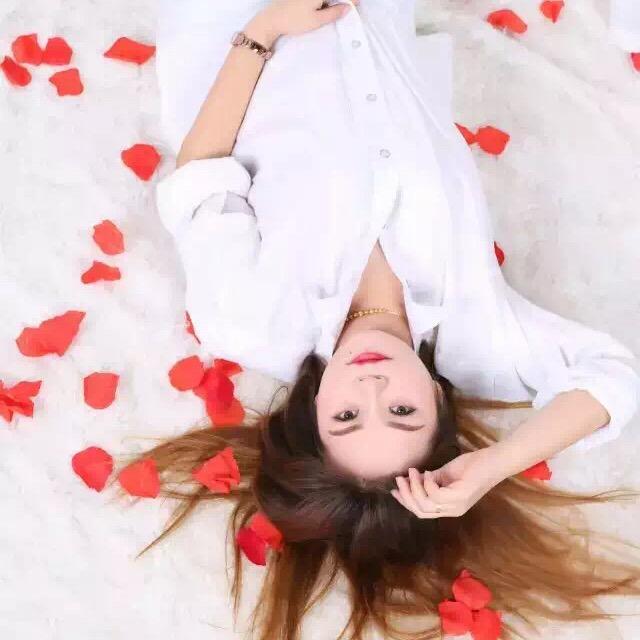 北极🌞光影