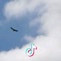 空