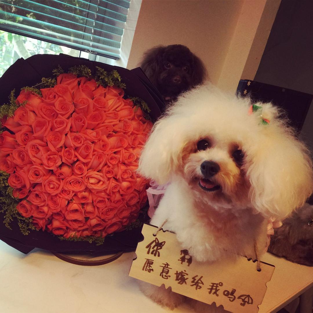 婕婕家里有宝藏啊