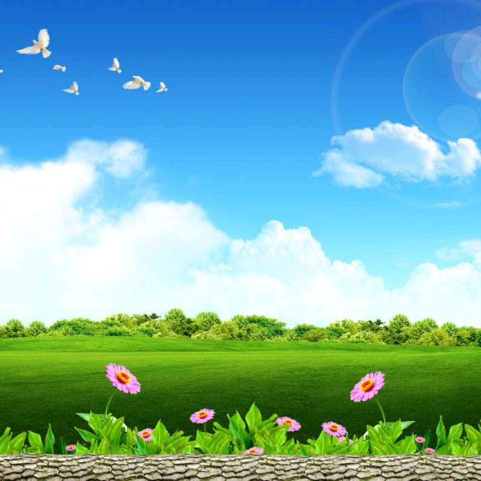 后悔一生🌴💐🌹🌻