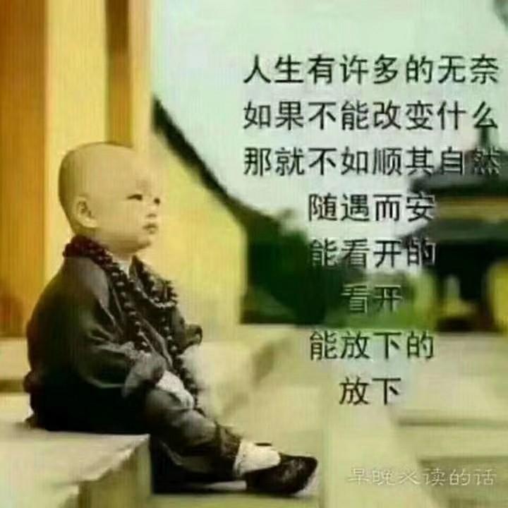 发财树