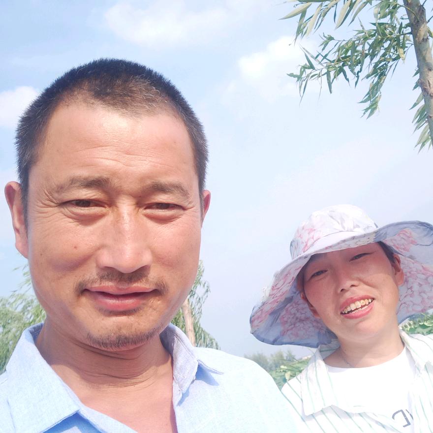 淮南阳玲