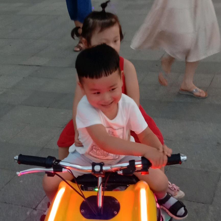 珍龙铭丹