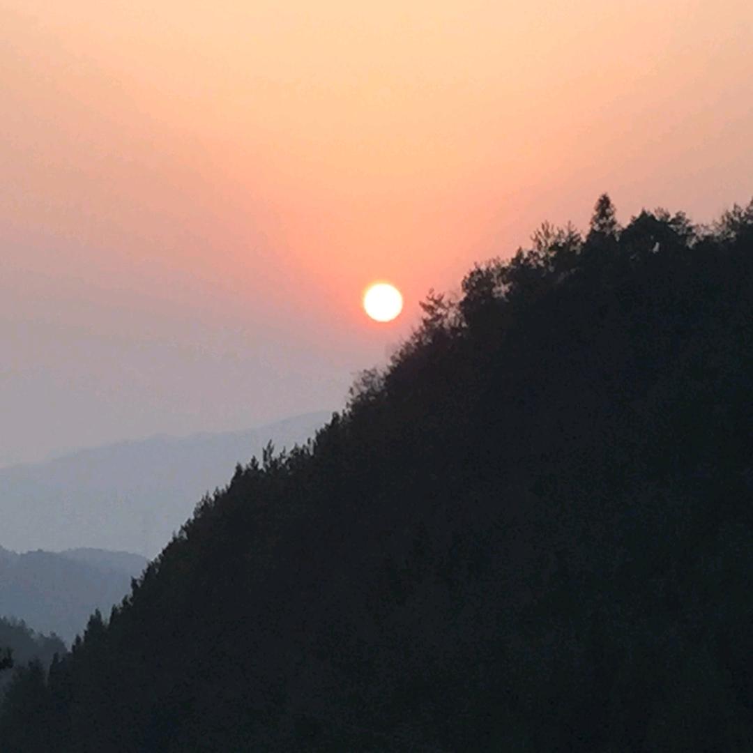 高原🐺