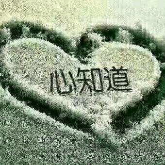鲁哥