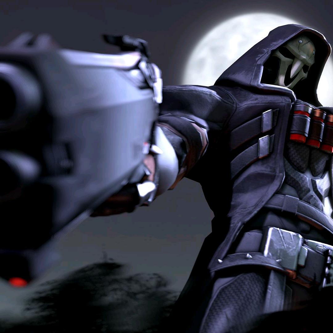 ｡✧* ꧁王者꧂✧*｡